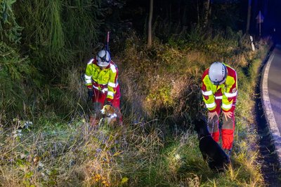 17 Teams der Rettungshundestaffel Sachsen unterstützten mit ihren Tieren die stundenlange nächtliche Suche. Auf 100 Metern Länge hatten Feuerwehrleute dafür Licht aufgebaut.