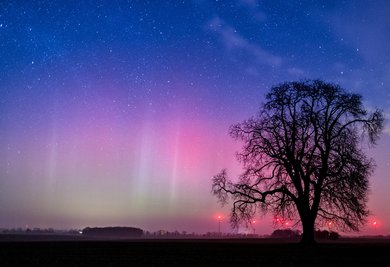 Ein Polarlicht leuchtet am Nachthimmel am Sonntag nahe Lietzen im Landkreis Märkisch-Oderland (Brandenburg). Dieses Nordlicht (Aurora borealis) wurden durch eine gigantische Wolke elektrisch geladener Teilchen eines Sonnensturms in der Erdatmosphäre erzeugt. Der farbliche Effekt wird hierbei durch die Digitalkamera bei einer Langzeitbelichtung von etwa 10 Sekunden noch verstärkt. 