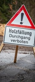  Die Verbindungsstraße K 7754 zwischen den beiden Ortsteilen  Augustusburg und Hennersdorf bleibt bis zum heutigen Freitag wegen Holzfällung gesperrt.