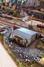 Tiertransport per Bahn: Dabei geht eine Telefonzelle zu Bruch.