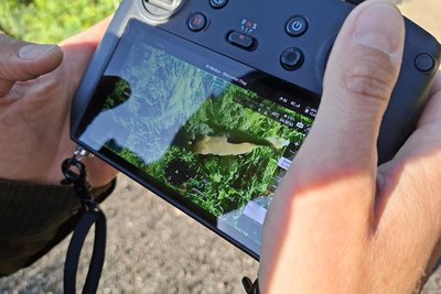 Auf dem Monitor ist eine Ricke im Gras zu sehen. Die Drohnenpiloten suchen im Umkreis der Ricke nach versteckten Kitzen.