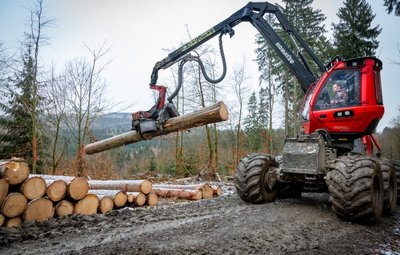 Ein Harvester im Einsatz.