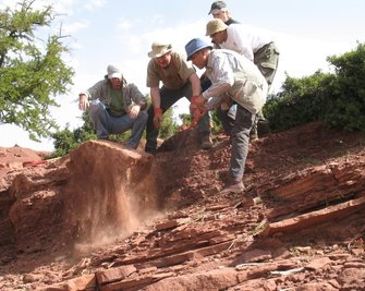 
              <p class="artikelinhalt">Das Steineklopfer-Team beim schweißtreibenden Freilegen neuer Fährtenflächen. Von links: Sebastian Voigt, Ralf Werneburg, Hafid Saber, Abdelouahed Lagnaoui und Hendrik Klein.</p>
            