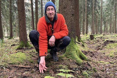 Geyers Stadtforstleiter Martin Moßig zeigt ausgesäte Weißtannen im Geyerschen Wald.