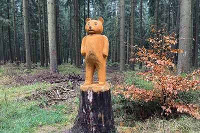 Der Geyersche Wald ist ein beliebtes Ausflugsziel. Daher wurde mancher Baumstumpf am Wegesrand in etwas Neues verwandelt.