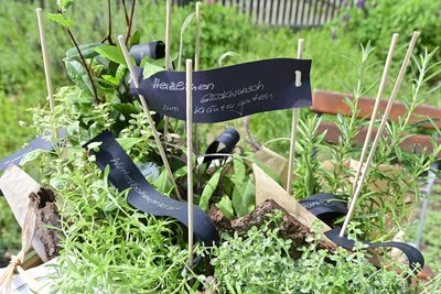 Der neue Bauerngarten wurde schon bei der Einweihung positiv aufgenommen.