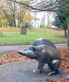Auch der Keiler begrüßt die Tierparkbesucher. 