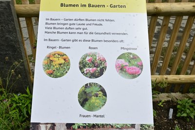 Blumen dürfen in einem Bauerngarten natürlich nicht fehlen.
