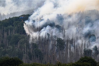 Bei jedem Waldbrand gelangt eine große Menge verschiedener Partikel in die Luft. 