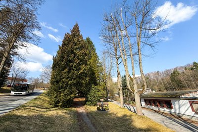 Für den Park zwischen Stadtbadstraße und Waldstadion in Thalheim hat die Wander-Abteilung des SV Tanne Thalheim die Patenschaft übernommen. Im Rahmen von Arbeitseinsätzen soll er wieder hergerichtet werden.