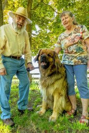 Gert und Christa Lindner mit ihrem vierjährigen Leonberger Sultan. Der Rüde hat einem hilflosen 85-jährigen Mann zu Pfingsten das Lebengerettet. 