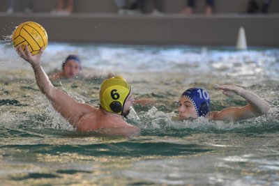 Die Zweitliga-Wasserballer des SV Zwickau 04 um Kapitän Max Wüstner (am Ball) treffen am Samstag im Pokal auf die SpVg Laatzen.