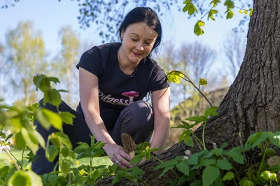 Sandra Gruner ist eine von 13 Pilzberatern im Vogtland.