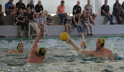 Die Zwickauer Zweitliga-Wasserballer mit Franz Czerner (am Ball) mühten sich gegen Laatzen vergeblich. 