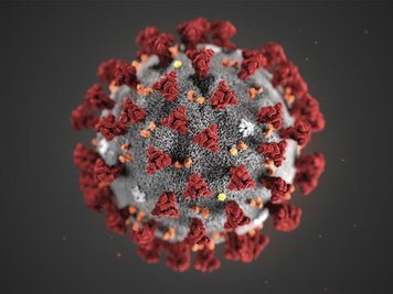            Eine Mikroskopaufnahme zeigt das Coronavirus.