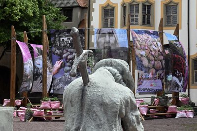 Im Hof des Kunstmuseums Moritzburg: Der ermordete Bauer ist Teil einer Installation von Andreas Siekmann, dahinter eine Arbeit über den Wert der Kartoffel von Asa Sonjasdotter und Daniela Zambrano Almidon. Foto: Matthias Zwarg