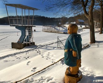 Holzskulptur an der Talsperre Kriebstein
