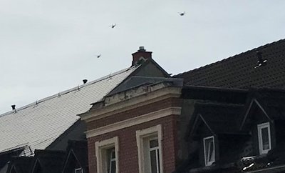 Hubschrauber in Formation waren zuletzt auch über den Dächern der Lutherstraße zu sehen. 