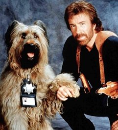 Norris 1995 als Sheriff Jake Wilder in "Top Dog".