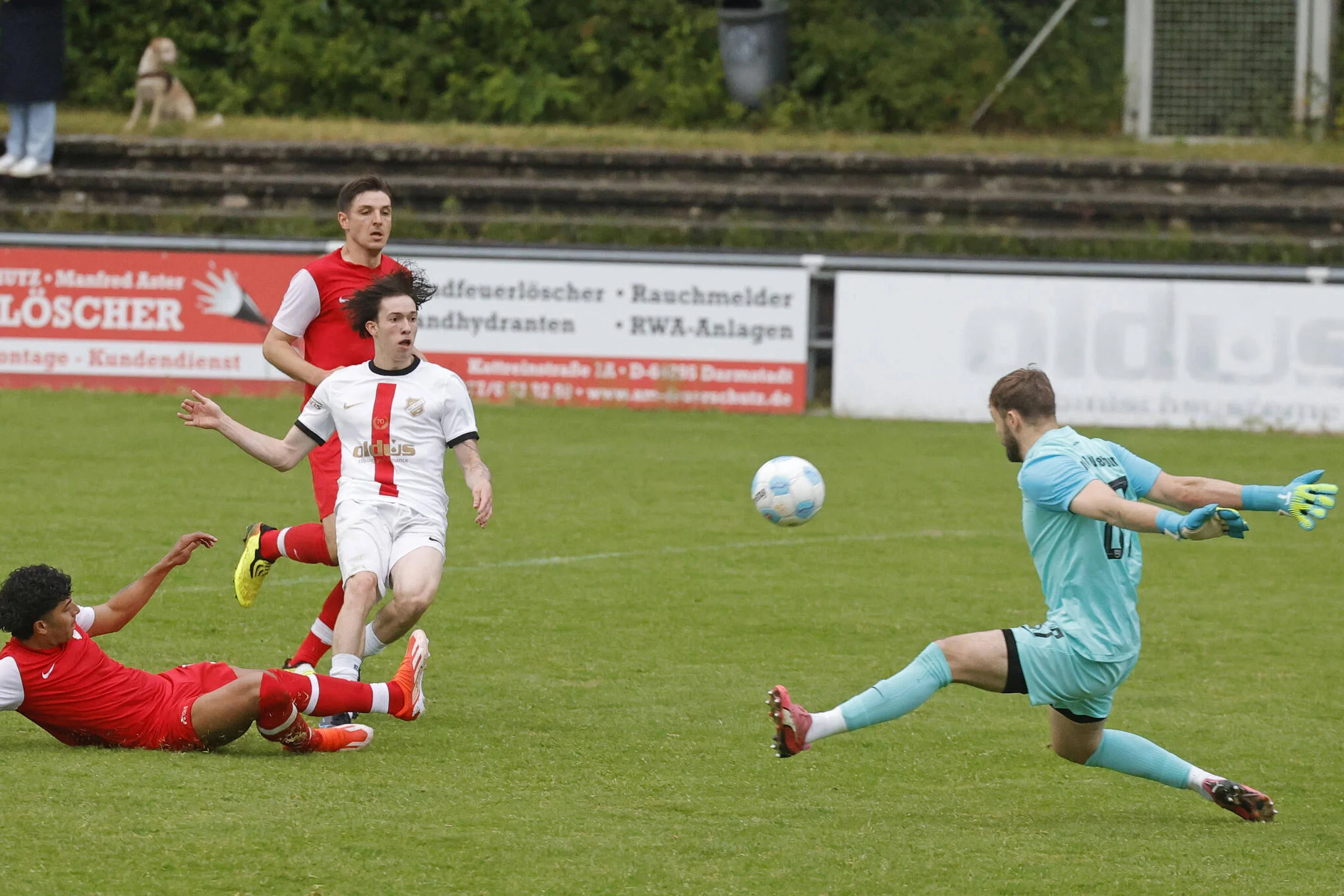 empor glauchau vs. dresden 06