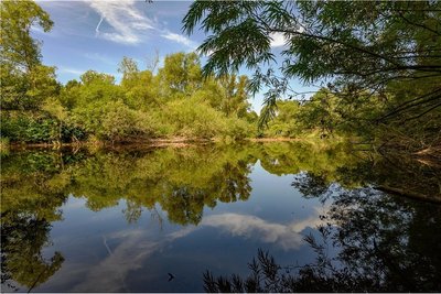 An ihrer Insel bei Falkenau kann die Flöha dank eines Deichdurchbruchs auf die vierfache Breite anschwellen. 