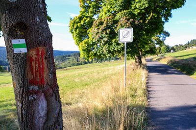 Die Markierungen als Hinweis auf den Wanderweg an Straßenbäumen sorgen für Kritik aus der Gemeindeverwaltung.