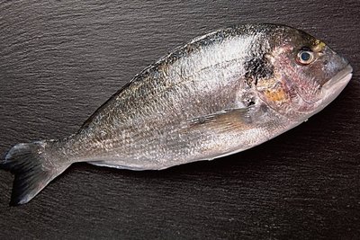 Die Dorade, auch Goldbrasse, gehört zur Familie der Barschartigen. Sie ist "der" typische Mittelmeerfisch. Der fettarme Speisefisch eignet sich zum Dünsten, Kochen, Braten und Grillen. 100 Gramm enthalten nur 1,9 Gramm Fett.