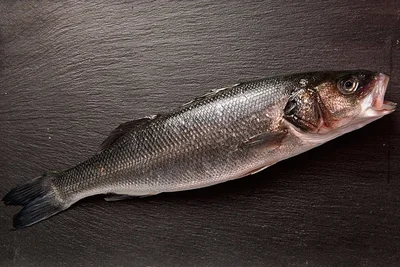 Der Wolfsbarsch hält sich gern an Felsenküsten oder Flussmündungen von den Britischen Inseln bis zum Mittelmeer auf. Er ist grätenarm und hat einen feinen, milden Geschmack. Er lässt sich backen, braten, dünsten und grillen.