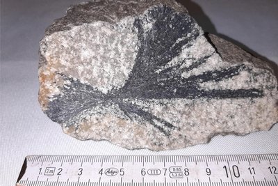 Minerale wie dieser Antimonit aus dem ehemaligen Steinbruch Neumühle bei Greiz werden in Ellefeld gezeigt.