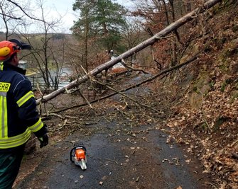 Einer von vielen: Über der Straße Am Buchenberg im Mittweidaer Ortsteil Ringethal lag ein Baum quer. Am Sonntag kurz nach 9 Uhr rückte ihm die Freiwillige Feuerwehr Mittweida mit einer Motorsäge zu Leibe und machte die Straße wieder frei. 