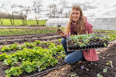 Die Kohlrabipflanzen, die Teresa Bochmann jetzt in die Erde bringt, hat sie selbst gezogen. 