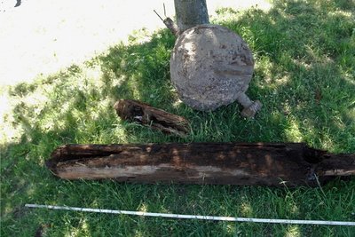 Nahe der Alten Elsterbrücke haben Archäologen eine vermutlich mittelalterliche Holzwasserleitung samt Zulauf entdeckt und sichergestellt. Direkt daneben stießen sie auf ein Maschinenteil aus dem Zweiten Weltkrieg.