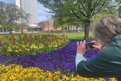 Die Blumen vor der Stadthalle sind gerade ein beliebtes Fotomotiv.
