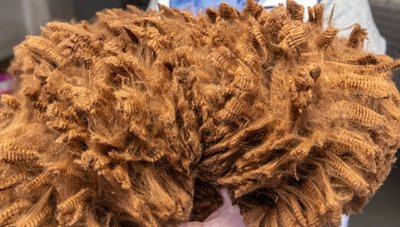 Es ist ein langer Weg und viel Handarbeit, bis rund drei Kilogramm Rohwolle zu etwa 1,6 Kilogramm Kuscheldecke verarbeitet sind. 