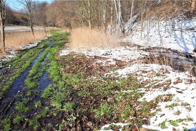 Im Frühjahr versumpft: So sah der Radweg zwischen Erdmannsdorf und Flöha im März aus. Gut zu erkennen ist der ehemalige Bachlauf der über die Ufer tritt. Der Weg ist nicht begehbar.