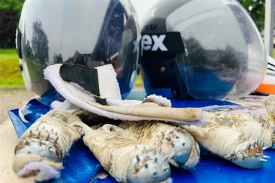 Teil der Ausrüstung für Rennrodler: Helm und Handschuhe mit spitzen Stacheln für mehr Halt im Eiskanal.