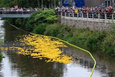 7500 Enten waren voriges Jahr beim Rennen auf der Chemnitz am Start.