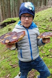 Leon mit seiner Beute, zwei riesigen Braunkappen. Entdeckt hat sie Mutter Marlene Ullmann, doch scheiden durfte sie der Sohn. 