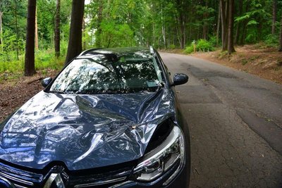 In Kriebstein wurde ein Auto während der Fahrt von einem herabfallenden Ast getroffen. 