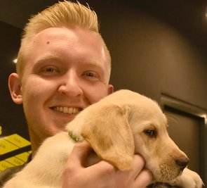 Für Labrador-Golden Retriever Buddy ist die Jugendherberge in Schöneck sein neues Zuhause. Herbergsleiter Christoph Dietzsch will ihn zum Therapiehund ausbilden. 