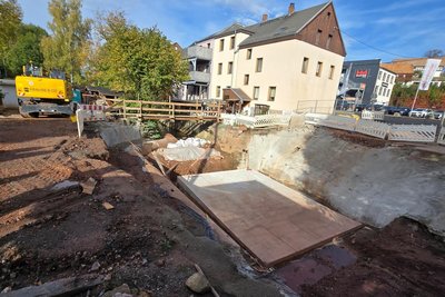 Die Arbeiten an der neuen Brücke Alter Schulweg in Steinpleis ruhen. Dafür hat die Fischereibehörde gesorgt.
