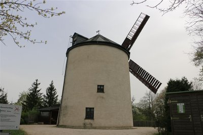 Die Windmühle in Syrau.