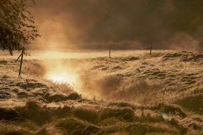 Die Schwarze Pockau dampft im Schein der aufgehenden Sonne. 