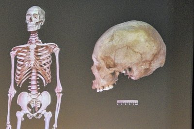Der Forscher arbeitet im Max-Planck-Institut für evolutionäre Anthropologie in Leipzig. 