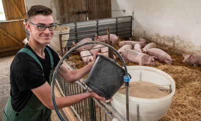 Bei der Agraset-Agrargenossenschaft Naundorf als Gründungsmitglied der Genießergenossenschaft Sachsen werden bereits Duroc-Schweine nach der Art gehalten, wie es im neuen Königshainer Stall geplant ist. Das Foto mit Auszubildendem André Berger entstand im Vorjahr. 