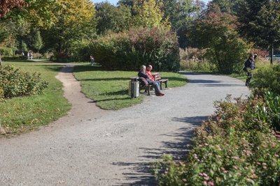 Abkürzungen und Trampelpfade (links) neben den offiziellen Wegen sollen ebenfalls entfernt werden.
