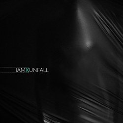 IAMX
