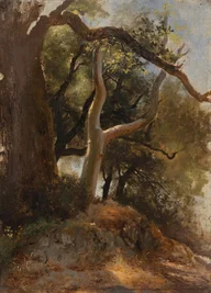 Eines der letzten von Albert Venus gemalten Bilder: "Sonnenbeschienener Waldweg bei Nemi" von 1869.