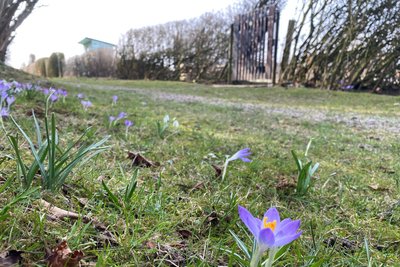 Mehrere Parzellen wurden aufgesucht.