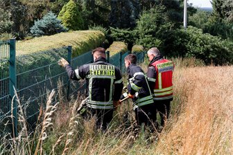 1,20-Meter-Schlange in Chemnitz: Feuerwehr kommt zur Hilfe - Gegen 10.30 Uhr drangen die Feuerwehrleute zur Schlange durch.